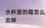 水杯里的霉怎么去除 水杯里的霉如何去除