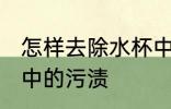 怎样去除水杯中的污渍 如何去除水杯中的污渍