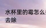 水杯里的霉怎么去除 水杯里的霉如何去除
