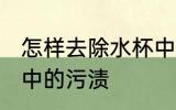 怎样去除水杯中的污渍 如何去除水杯中的污渍