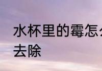 水杯里的霉怎么去除 水杯里的霉如何去除