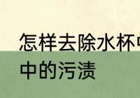 怎样去除水杯中的污渍 如何去除水杯中的污渍