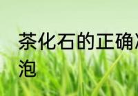 茶化石的正确冲泡方法 茶化石怎么冲泡