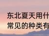 东北夏天用什么材质的凉席合适 凉席常见的种类有哪些