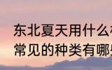 东北夏天用什么材质的凉席合适 凉席常见的种类有哪些