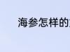 海参怎样的好 什么样的海参好