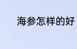 海参怎样的好 什么样的海参好