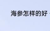 海参怎样的好 什么样的海参好