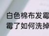 白色棉布发霉了怎么洗掉 白色棉布发霉了如何洗掉