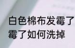 白色棉布发霉了怎么洗掉 白色棉布发霉了如何洗掉