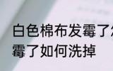 白色棉布发霉了怎么洗掉 白色棉布发霉了如何洗掉