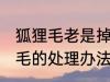 狐狸毛老是掉怎么处理 狐狸毛老是掉毛的处理办法