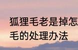 狐狸毛老是掉怎么处理 狐狸毛老是掉毛的处理办法
