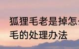狐狸毛老是掉怎么处理 狐狸毛老是掉毛的处理办法