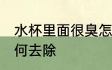 水杯里面很臭怎么清洗 水杯有异味如何去除