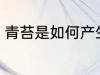 青苔是如何产生的 苔藓是怎么形成的