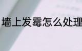 墙上发霉怎么处理 墙上发霉如何处理