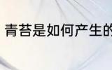 青苔是如何产生的 苔藓是怎么形成的