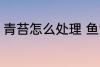 青苔怎么处理 鱼池里的青苔怎么处理