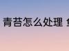 青苔怎么处理 鱼池里的青苔怎么处理