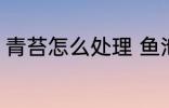 青苔怎么处理 鱼池里的青苔怎么处理
