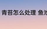 青苔怎么处理 鱼池里的青苔怎么处理