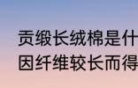 贡缎长绒棉是什么面料 长绒棉是一种因纤维较长而得名的棉花对吗