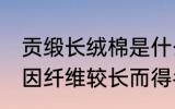贡缎长绒棉是什么面料 长绒棉是一种因纤维较长而得名的棉花对吗