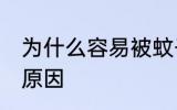 为什么容易被蚊子咬 容易被蚊子咬的原因