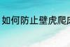 如何防止壁虎爬床 怎么防止壁虎爬床
