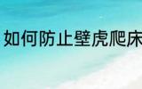 如何防止壁虎爬床 怎么防止壁虎爬床