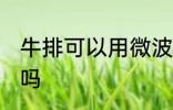 牛排可以用微波炉吗 牛排能用微波炉吗