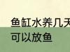 鱼缸水养几天可以放鱼 新缸养水几天可以放鱼
