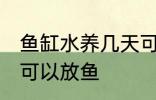 鱼缸水养几天可以放鱼 新缸养水几天可以放鱼
