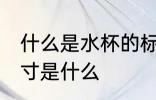 什么是水杯的标准尺寸 水杯的标准尺寸是什么