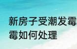 新房子受潮发霉怎么办 新房子受潮发霉如何处理