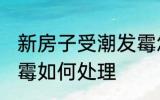 新房子受潮发霉怎么办 新房子受潮发霉如何处理