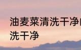 油麦菜清洗干净的方法 油麦菜怎么清洗干净