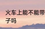 火车上能不能带钉子 火车上可以带钉子吗