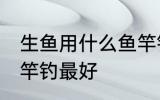生鱼用什么鱼竿钓最好 生鱼用哪种鱼竿钓最好