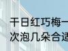 干日红巧梅一次泡几朵 干日红巧梅一次泡几朵合适