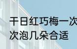 干日红巧梅一次泡几朵 干日红巧梅一次泡几朵合适