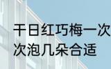 干日红巧梅一次泡几朵 干日红巧梅一次泡几朵合适
