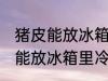 猪皮能放冰箱里冷冻保存吗 猪皮能不能放冰箱里冷冻保存