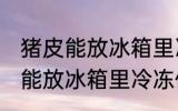 猪皮能放冰箱里冷冻保存吗 猪皮能不能放冰箱里冷冻保存