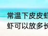 常温下皮皮虾可以放多久 常温下皮皮虾可以放多长时间