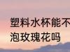 塑料水杯能不能泡玫瑰花 塑料水杯能泡玫瑰花吗