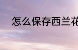 怎么保存西兰花 西兰花如何保存