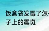 饭盒袋发霉了怎么洗掉 如何去饭盒袋子上的霉斑