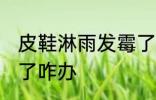 皮鞋淋雨发霉了怎么办 皮鞋淋雨发霉了咋办